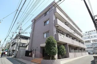 ルネス アーデルの画像