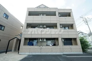 グレイス2の画像