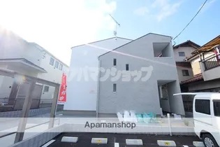 アカンサスの画像