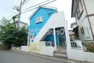 ルピナスの画像