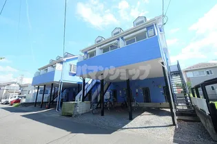 リコリスAの画像