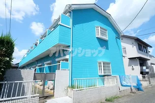 アネモネの画像