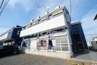 トレニアの画像