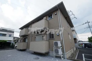 オアシスの画像