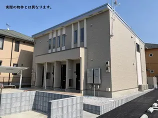 バーベナの画像