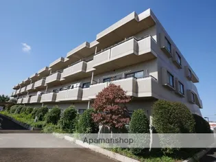 シルキーガーデンの画像