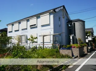 ピア大木の画像