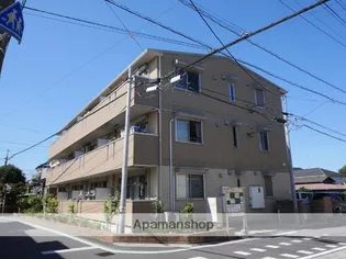 プーロ テ ヴェルデの画像