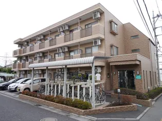 エーデルワイスの画像