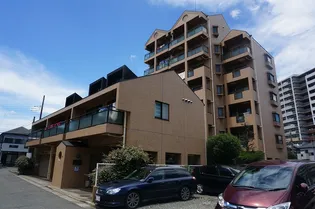 ツィンクルパーシモンの画像