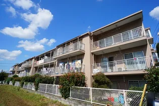 ポーロニアの画像