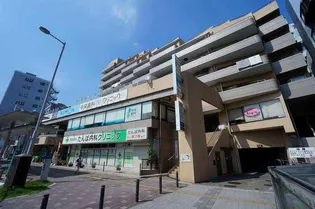 アウステルの画像