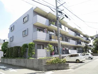 ラ フィエスタの画像