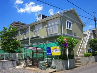 グリーンサマーの画像