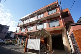 パレスホンチョウの画像