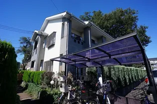 アンジュの画像