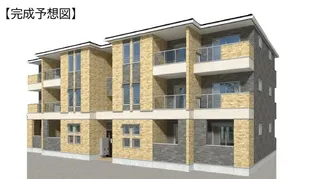 サンプラシードの画像