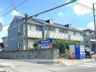 ペアシティルネッサンスの画像