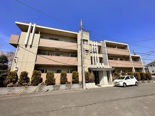 アラモード パレス【3階】の外観