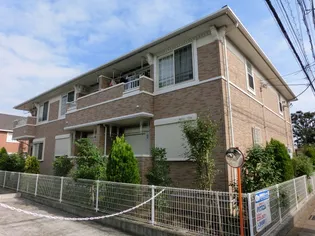 ピーノ レジーナIIIの画像