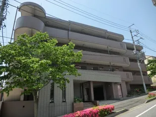 キャトルセゾン【4階】の外観