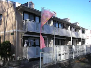 メゾンフェールの画像