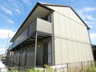 ビューラーみゆきの画像