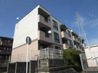 フェニックスAの画像