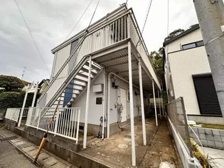 シャトルカメリアの画像