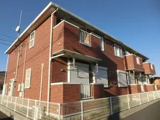 ピーノ レジーナIVの画像