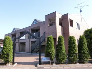 SUN FORESTの画像