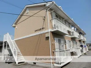 シャトルカーサーの画像