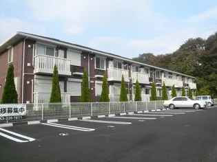 シャルドネ Cの画像