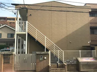 LPコニファー2の画像