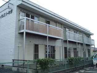 ハイネストキタの画像