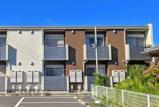 ミランダグルージアⅡの画像