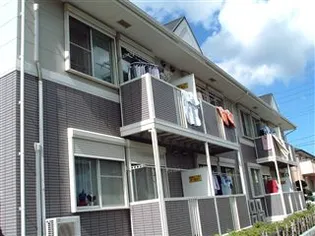 パインツリーCの画像