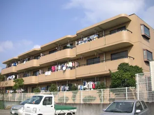 プレシオスの画像