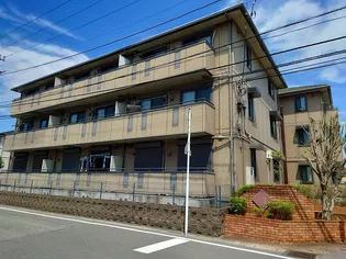 セジュール山の根の画像