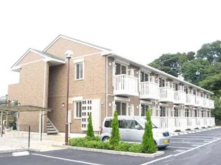 シャルドネ Bの画像