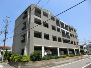 アヴェニュー Kの画像