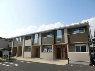 プラシードBの画像