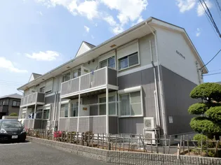 パインツリーCの画像