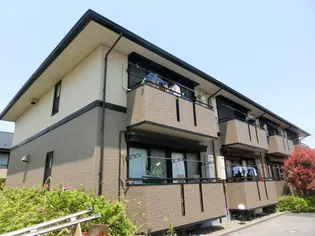 スプリングハイム A【1階】の外観