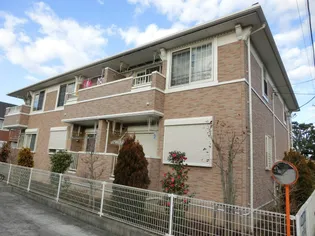 ピーノ レジーナIIIの画像