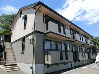 フェニックスCの画像