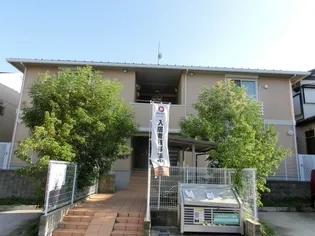 やまぼうしの画像