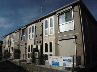 アムールの画像