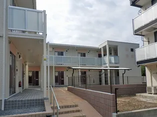 イディアルTの画像