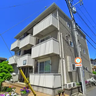 BRISA MARINAの画像